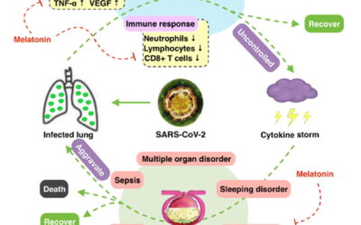 COVID-19: Melatonin as a potential adjuvant treatment