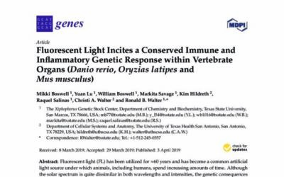 Studie prokazuje negativní vliv světelných zdrojů s nevyváženým spektrálním složením na genetické úrovni