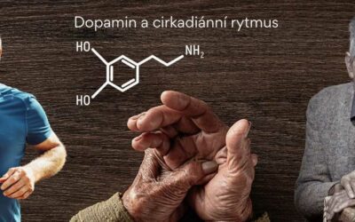Dopamin a jeho role v cirkadiánním rytmu, nebo je to naopak? Aneb jak souvisí cirkadiánní rytmus s naší náladou