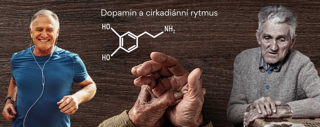 Dopamin a jeho role v cirkadiánním rytmu, nebo je to naopak? Aneb jak souvisí cirkadiánní rytmus s naší náladou