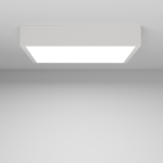Spectrasol IBP A + RAM100_2